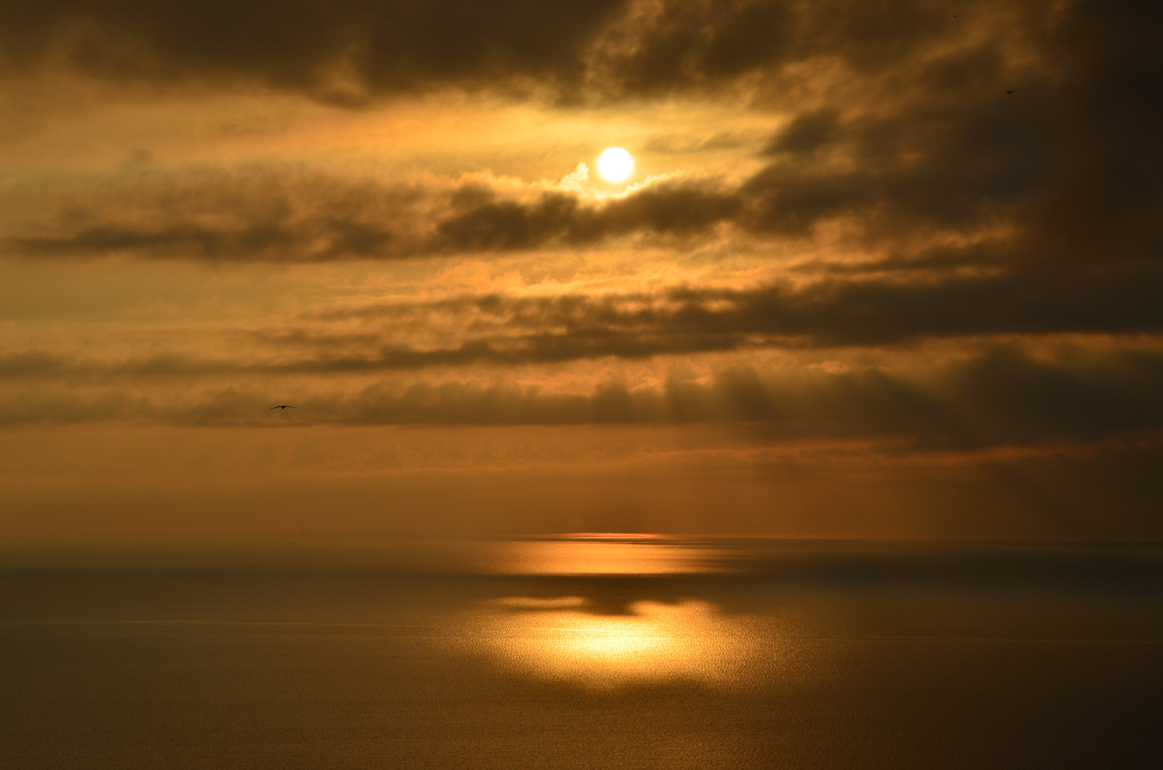 Raggi di sole in mezzo al mare