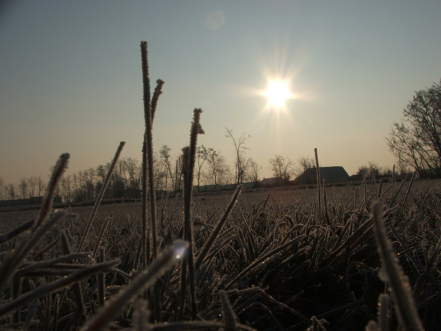 raggi di sole invernali