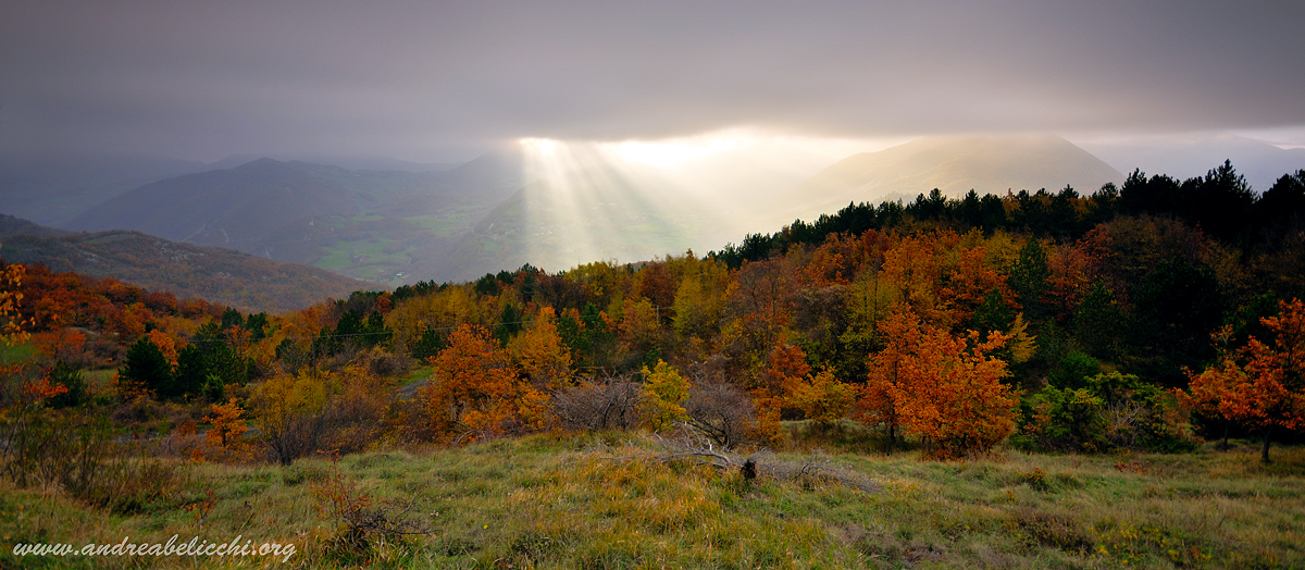 Raggio di luce