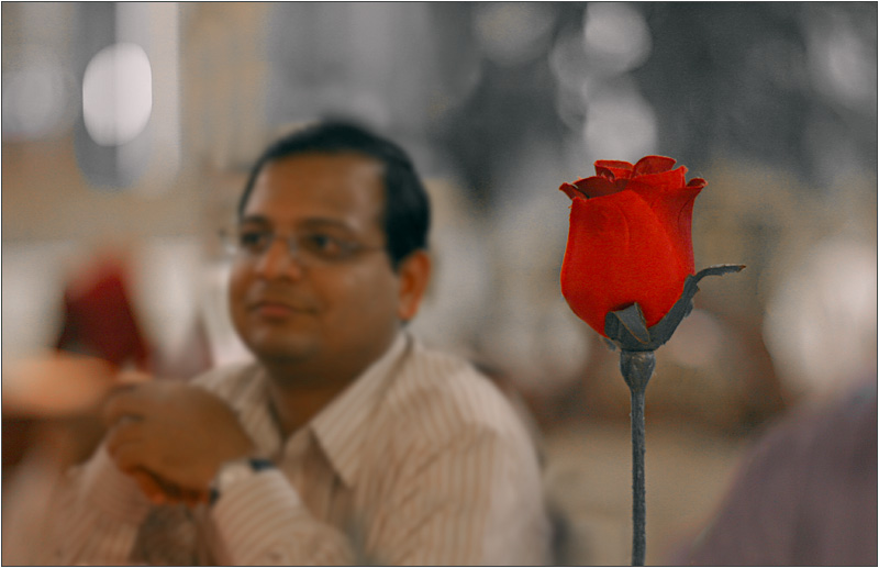 Raghu's Rose