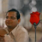 Raghu's Rose