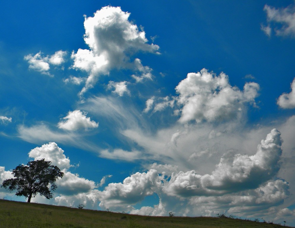 Raging sky