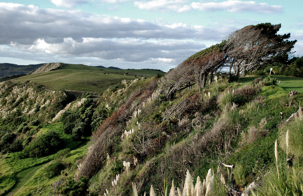 Raglan Beach