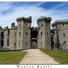 Raglan Castle 2