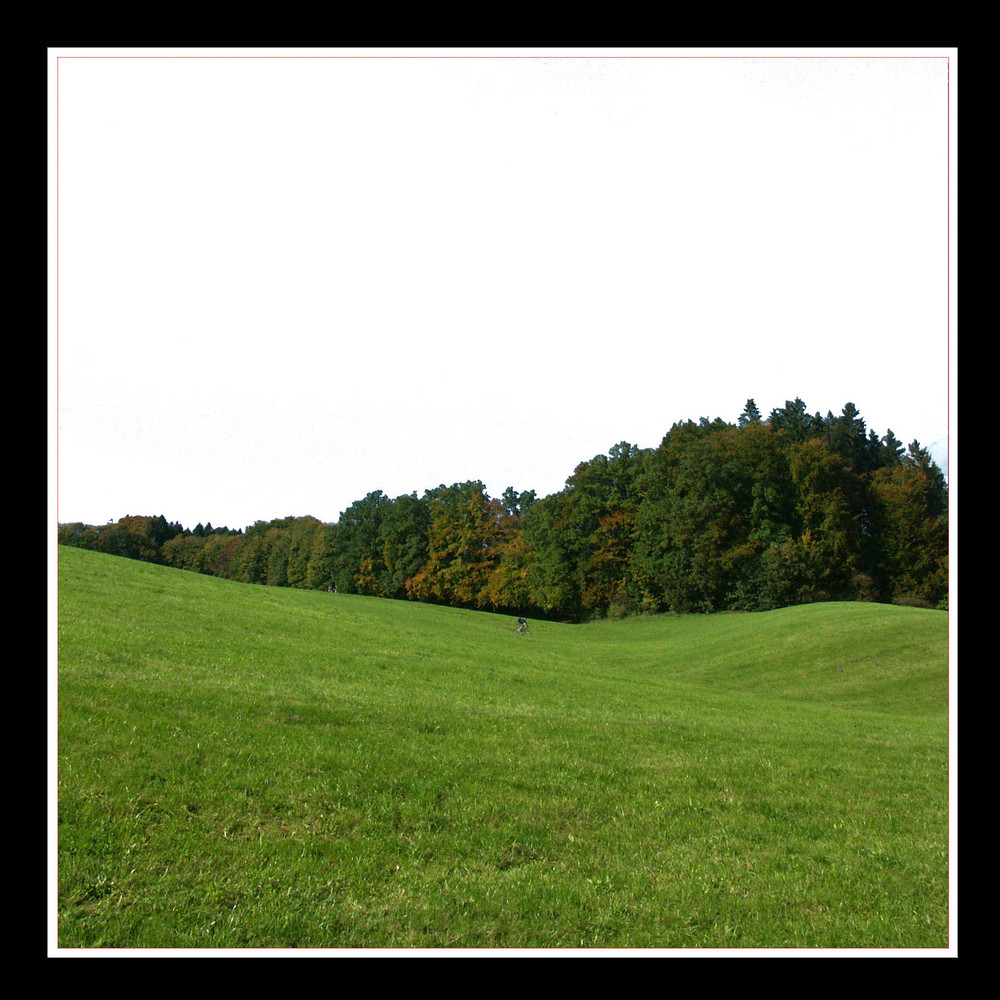 rahmen mit grüner wiese