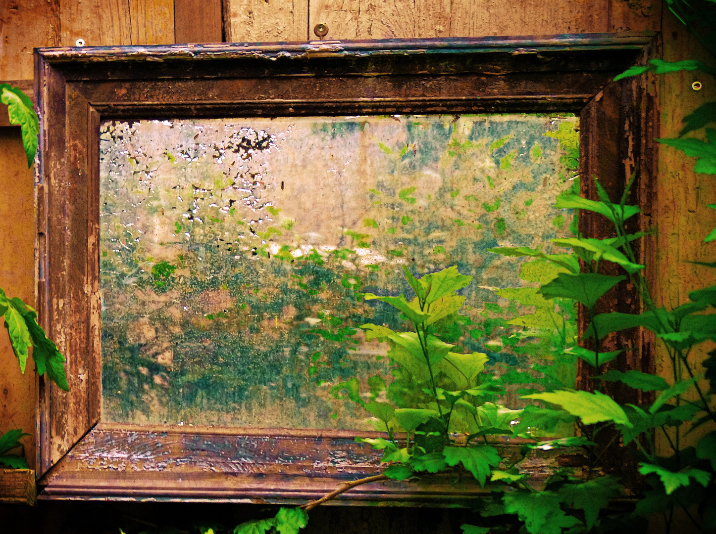 Rahmen-Spiegelbild-Gartenbild "Alter Spiegel in der Gartenecke" (DEKO)