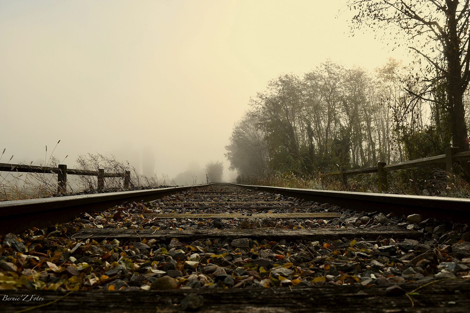 Rail et brouillard