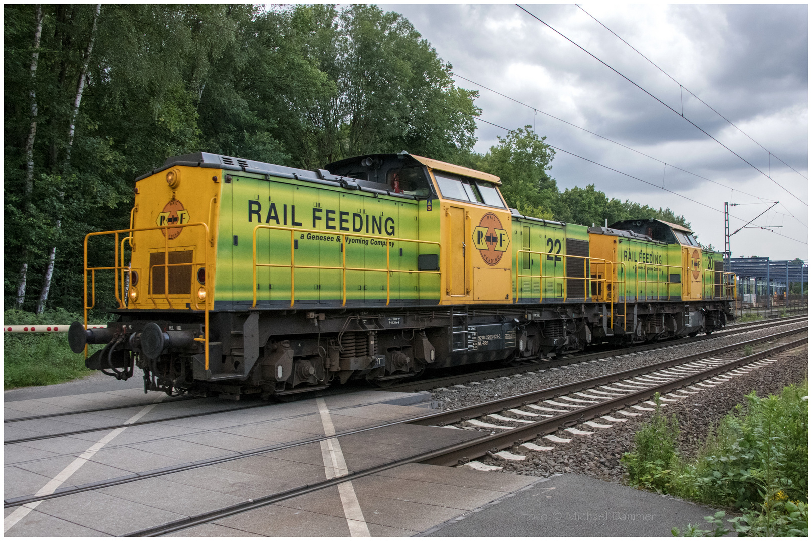 Rail Feeding