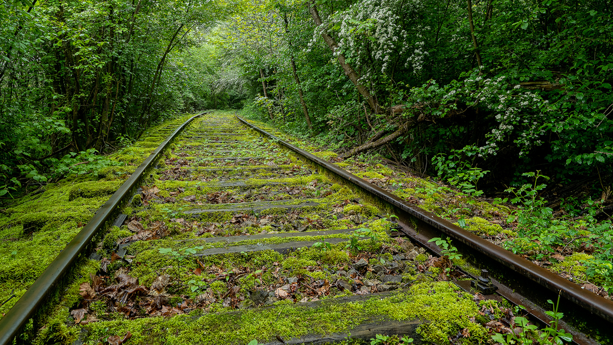 Rail to nowhere