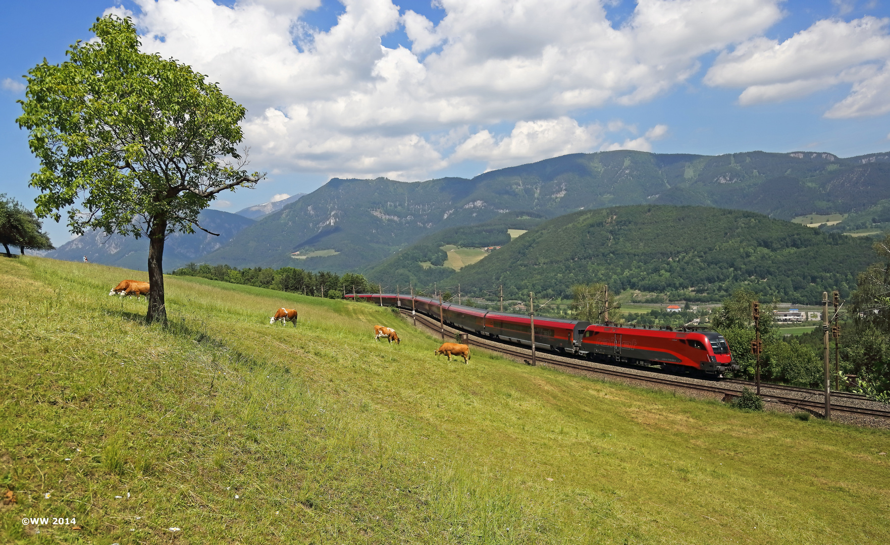 railjet 1116 235 an der Apfelwiese