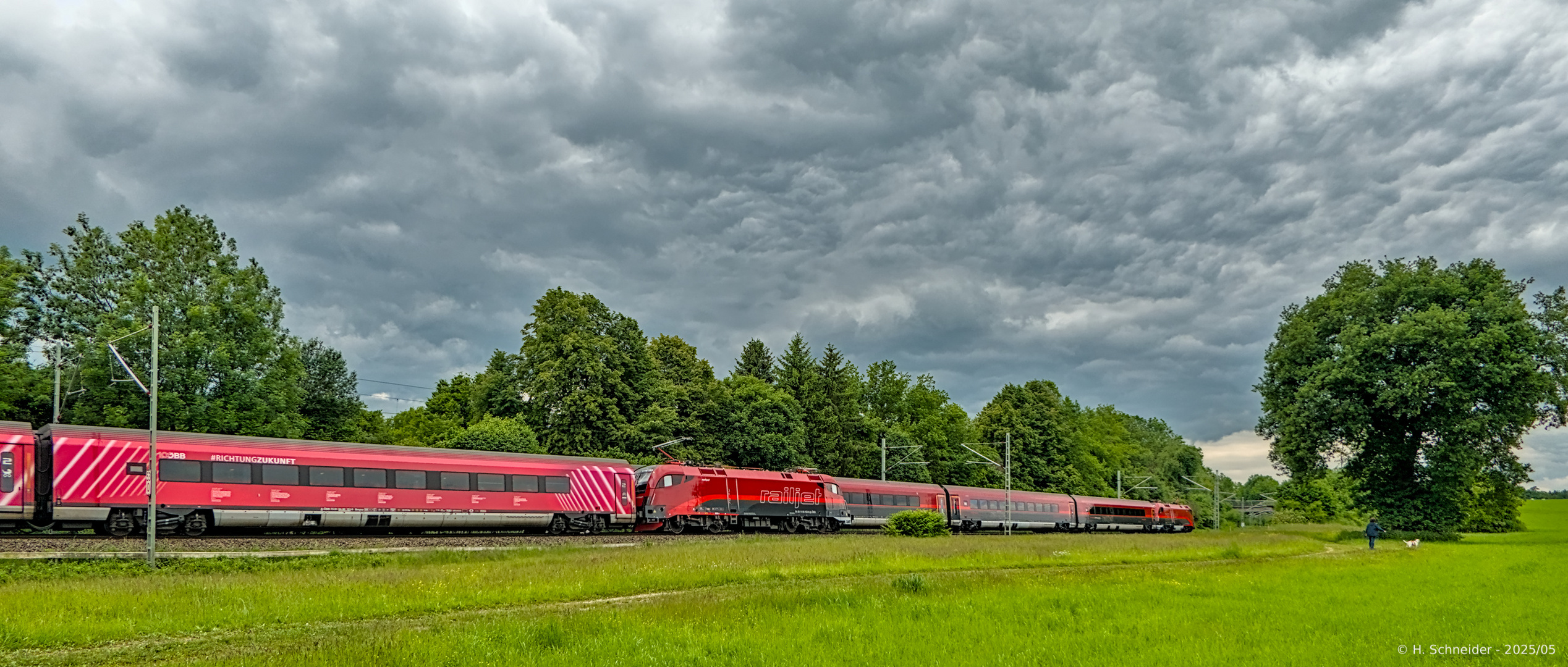 RailJet-Begegnung mit Hund