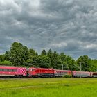 RailJet-Begegnung mit Hund