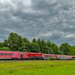 RailJet-Begegnung mit Hund