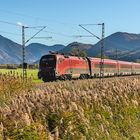 railjet im Chiemgau