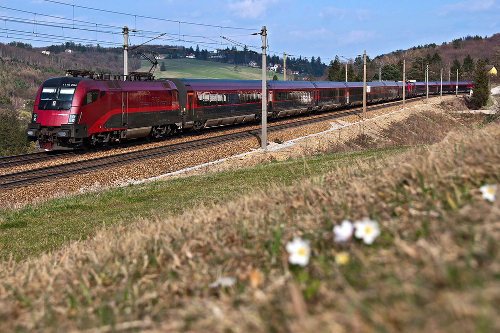 railjet im Frühling