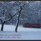 Railjet im Schnee
