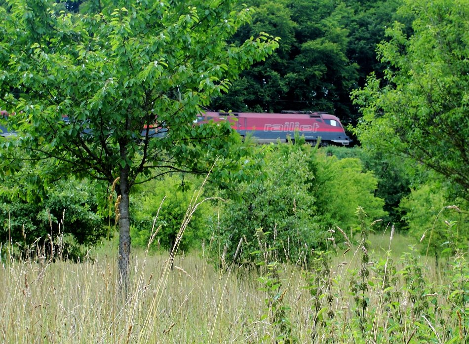 Railjet im wilden Streu-Obstgarten