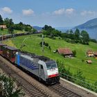 Railpool am Zugersee