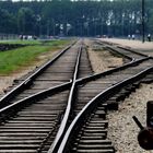 Railroad at Birkenau
