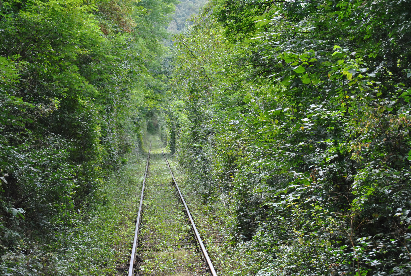 Railroad to paradise - Oravita - Anina