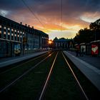 Rails in the sunset