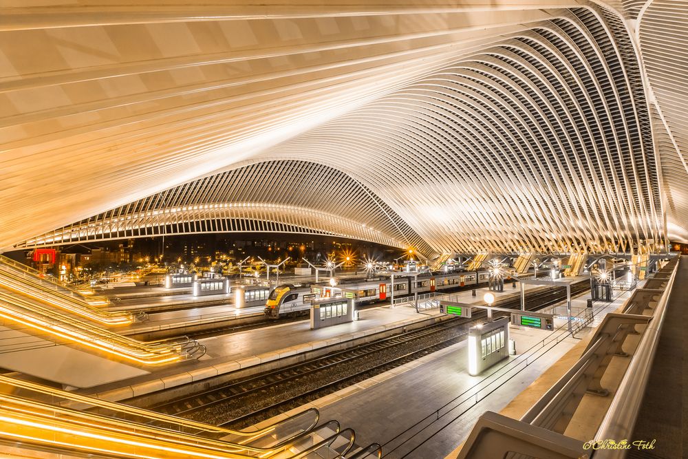 Railway Station - Bahnhof Liège-Guillemins