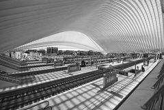 Railway Station Liège-Guillemins 010