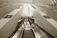 Railway Station Liège-Guillemins 032