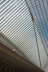 Railway Station Liège-Guillemins 035