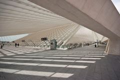 Railway Station Liège-Guillemins 037