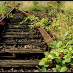 Railway to Nowhere (3)