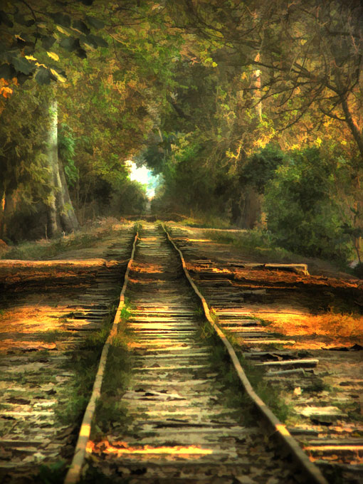 Railway track at Changa Manga Forest