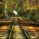 Railway track at Changa Manga Forest