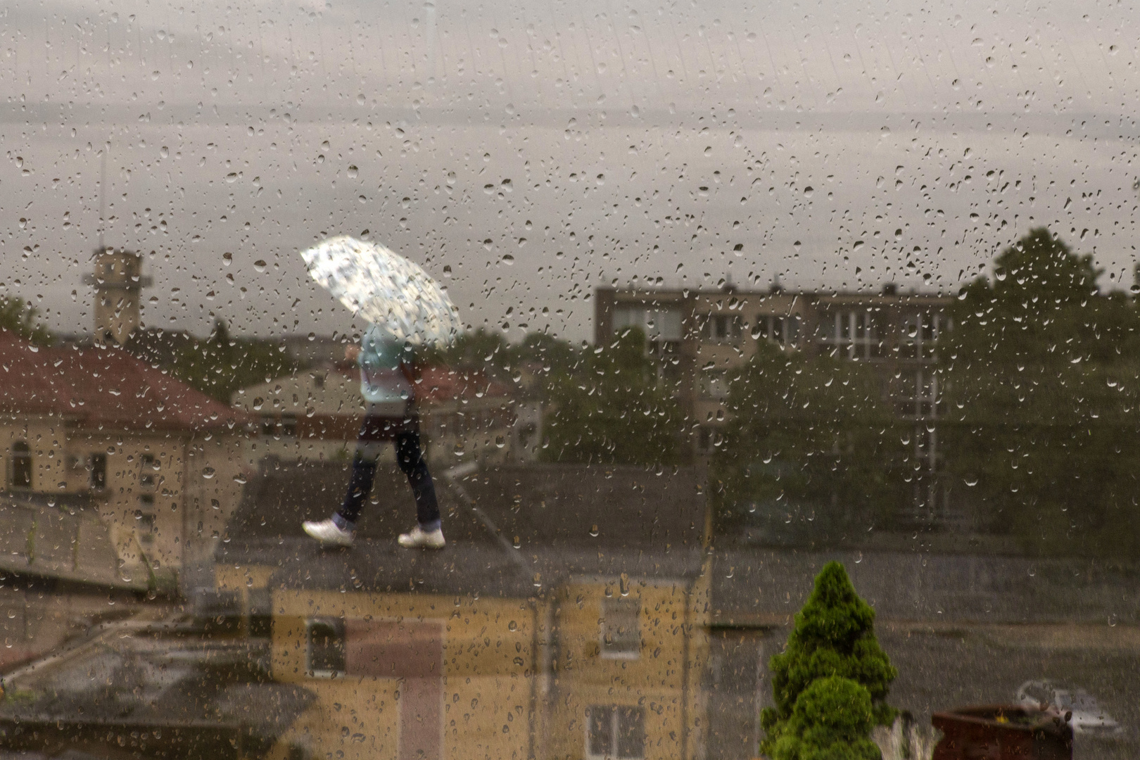 Rain 3 or Mary Poppins...