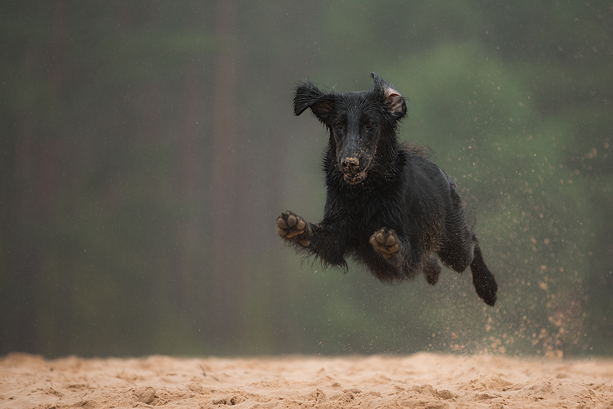 rain and sand....