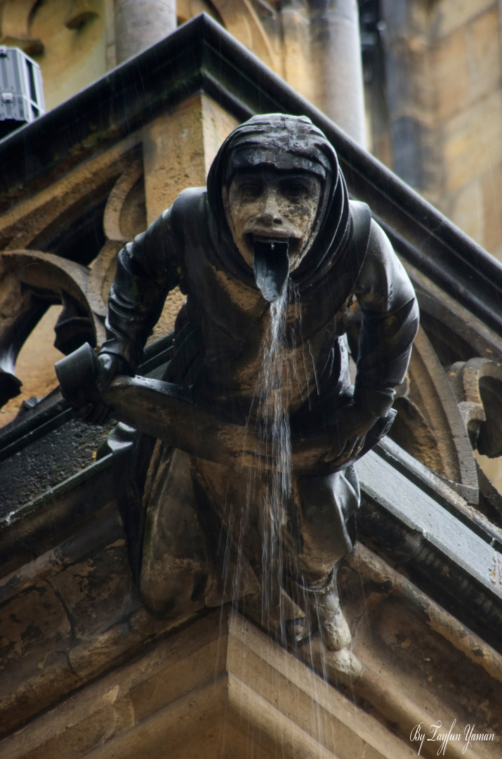 Rain at Castle of Prague