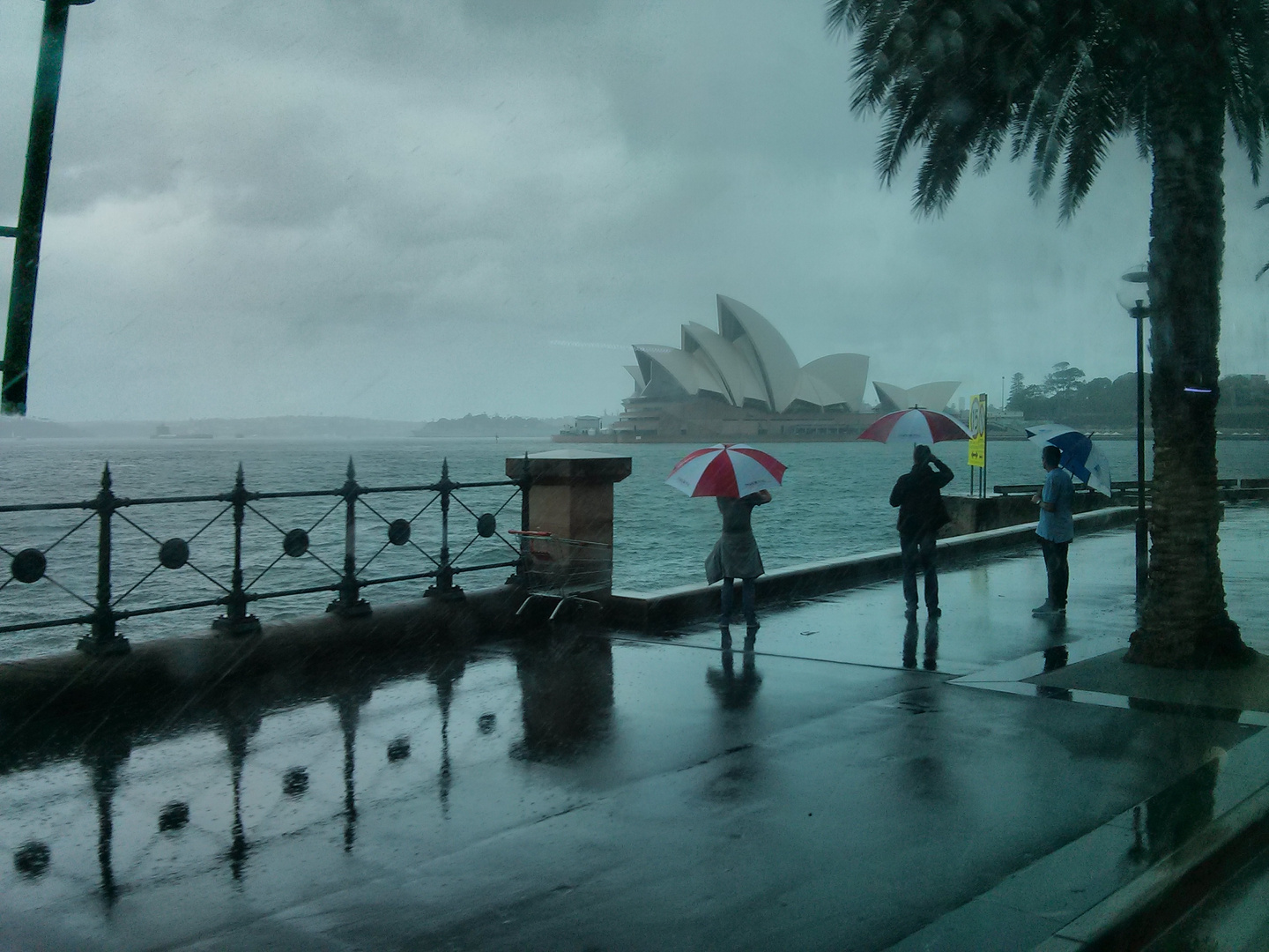 Rain at Sydney