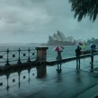 Rain at Sydney