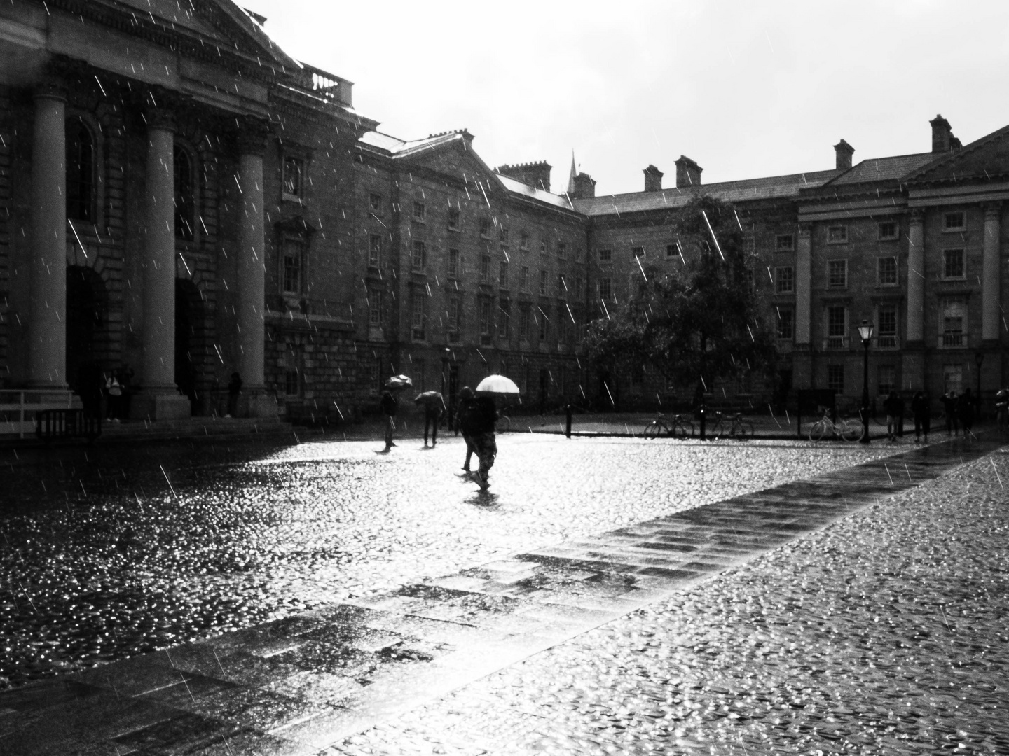 Rain at Trinity