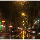 Rain City Lights 4