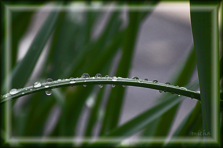 Rain drop bridge