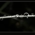 Rain Drop II