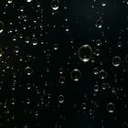 Rain Drops