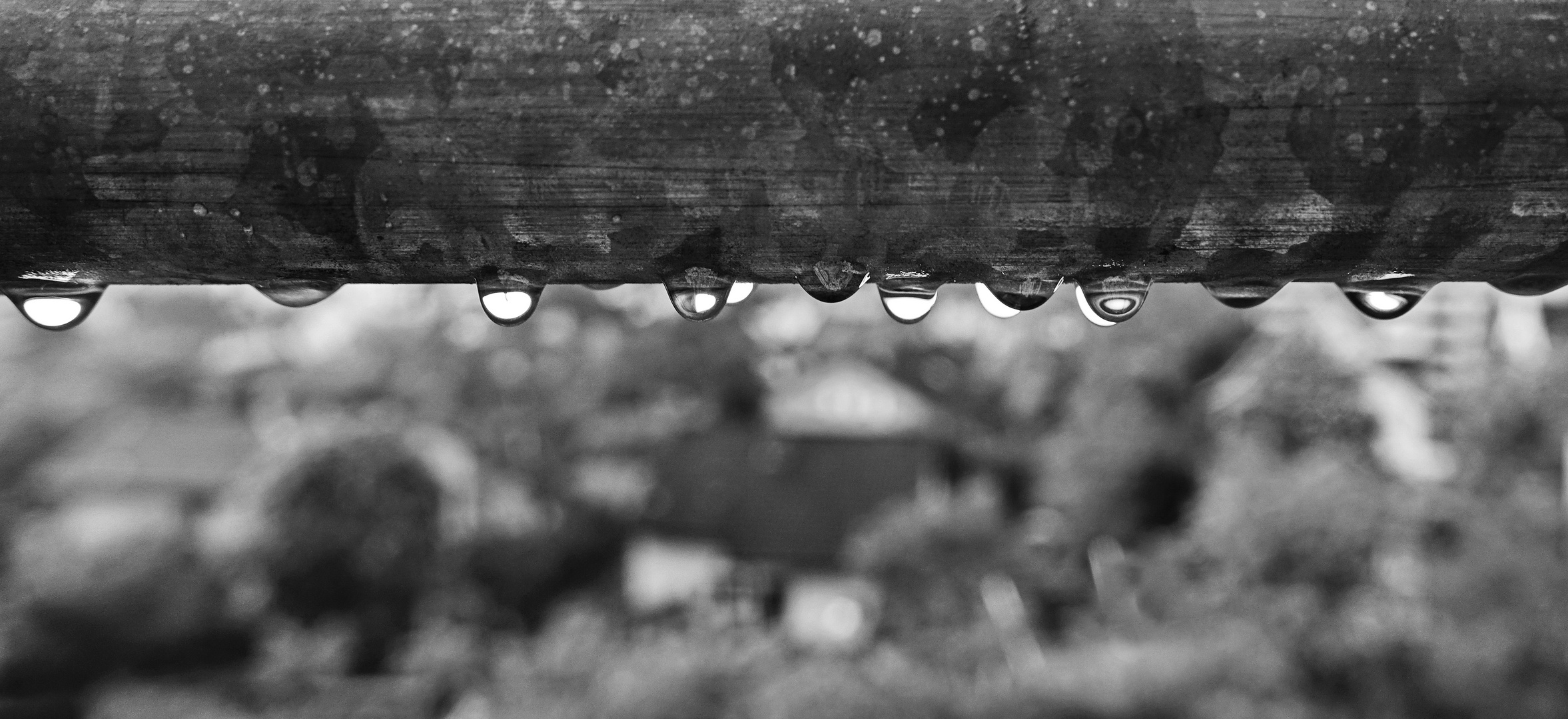 Rain drops