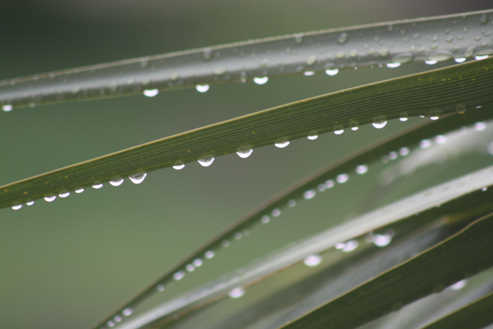 Rain drops keep falling on my head