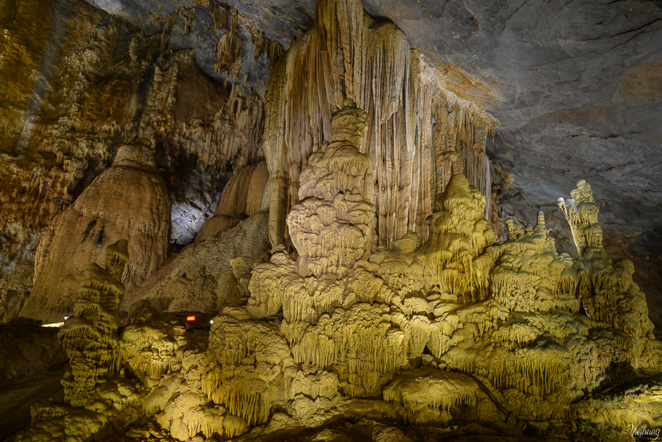 Rain-forest in Paradise Cave