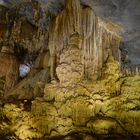 Rain-forest in Paradise Cave