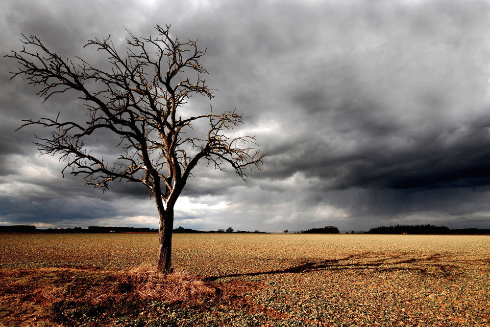 Rain goes by