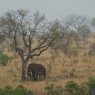 Rain in Africa