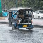 Rain in Ayutthaya